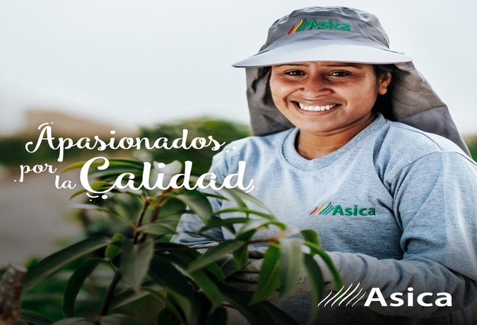 Últimos avisos publicadas